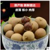 鲜烹烹桂圆 正宗福建莆田大桂圆干货 农家货源龙眼干 肉厚 500克