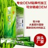 华以|青汁 大麦若叶青汁 大麦苗青汁粉 青汁OEM代加工