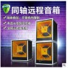 双单18寸远程音箱套装大功率专业线阵户外演出婚庆舞台音响套装